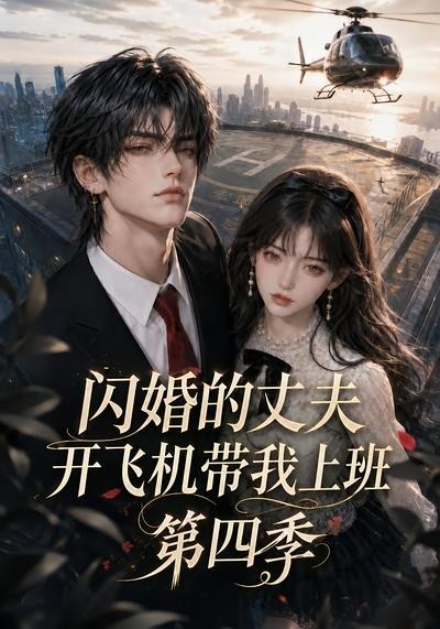 闪婚的丈夫开飞机带我上班第四季