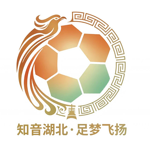 湖北省城市足球联赛 襄阳东风风神队VS荆州恒隆队20261017